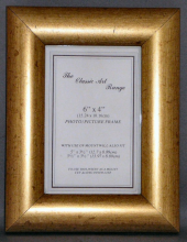 G Range - Dome Gold Picture Frame